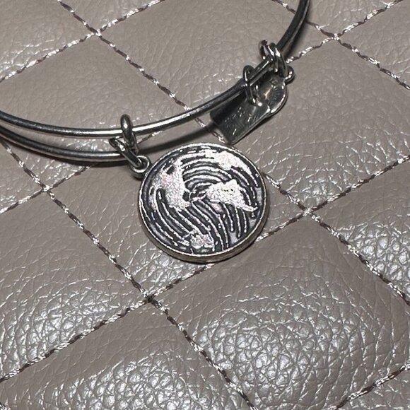 Alex & Ani +Energy 2013 Charity By Design Charm Bracelet *charms interchange - Picture 6 of 15